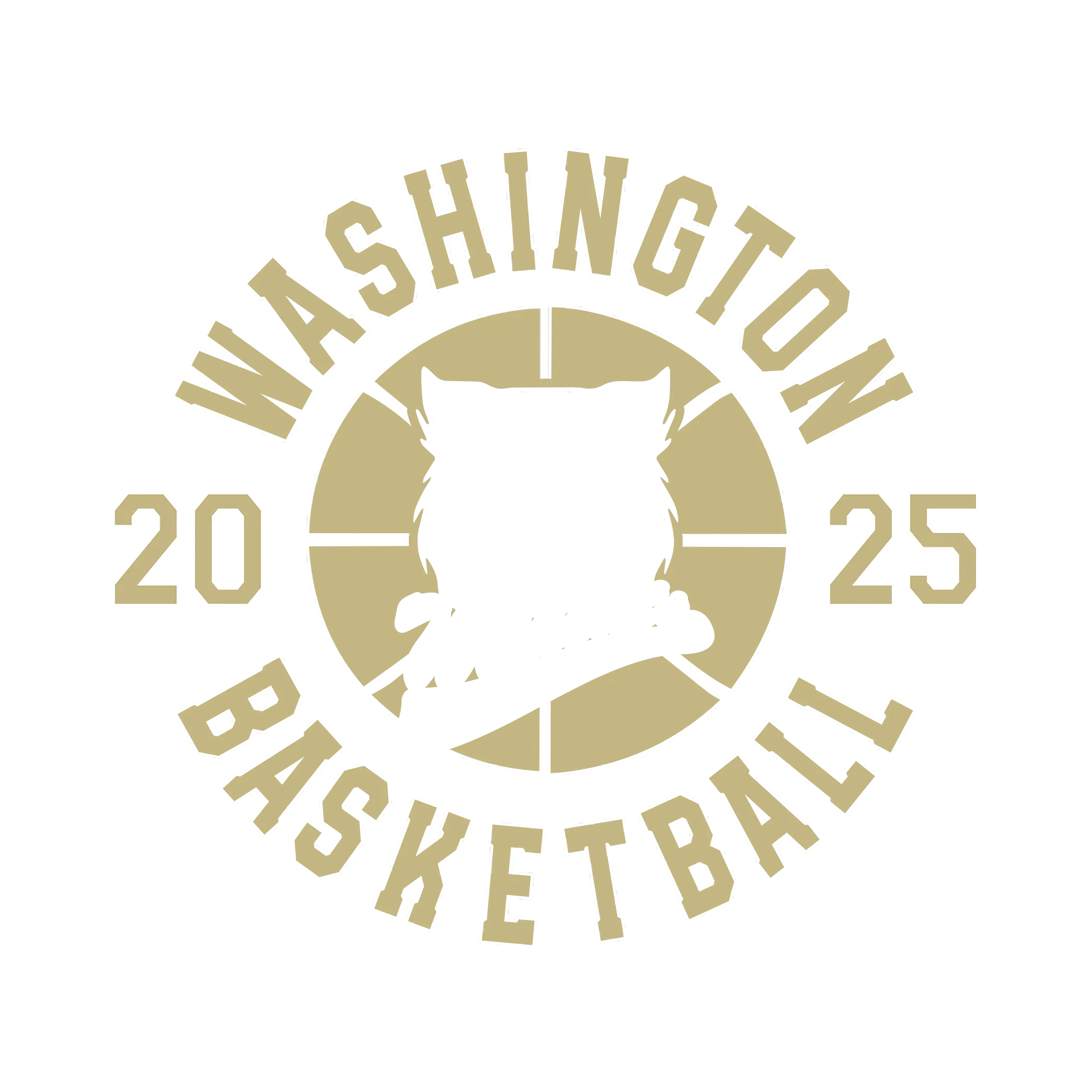 HS217